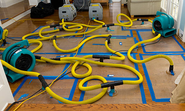 Professional Storm Water Damage Restoration technician working in Guild, TN